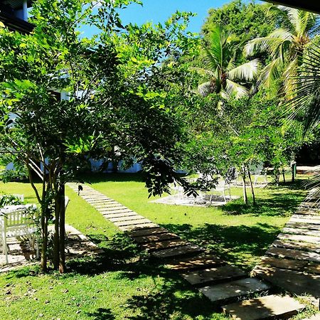 Rajarata Family Resort Anuradhapura Zewnętrze zdjęcie